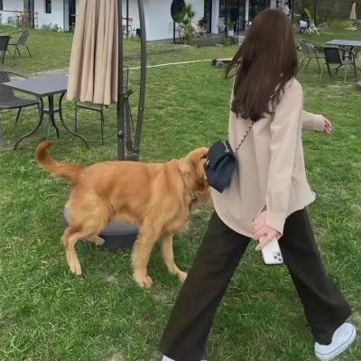 半支情粤语